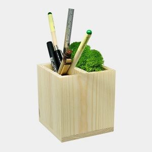 Жива Підставка для канцелярії Moss Stand мох 1 шт.